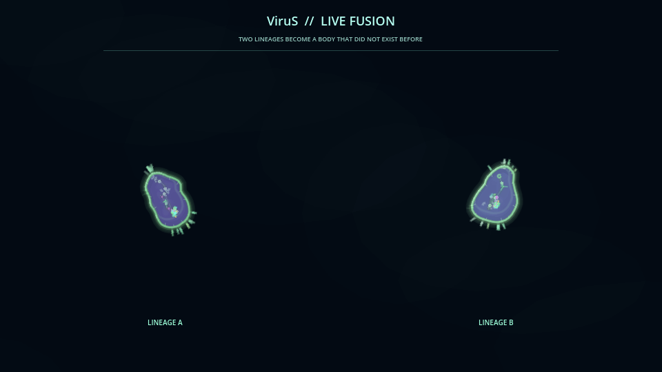 Still frame from the ViruS organism fusion sequence