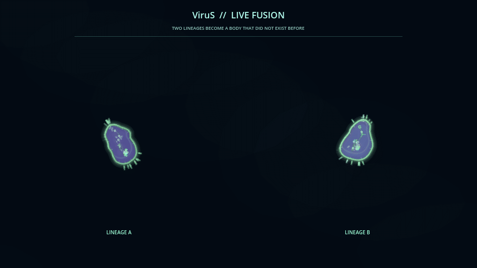 Animated ViruS fusion showing two organisms meeting and morphing into a new body